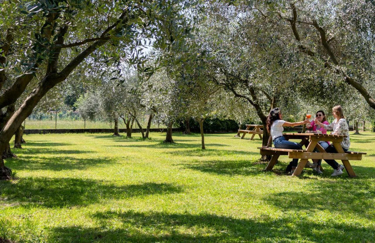 Agriturismo Ca Del Lago Gravedona Zewnętrze zdjęcie